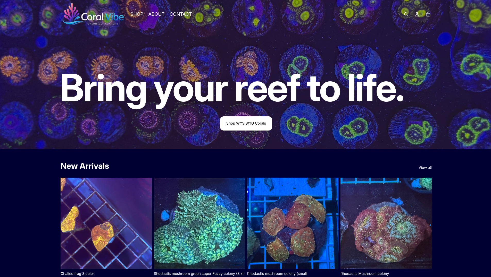 Shopify store for Coral Vibe Florida project by After Dark Labs